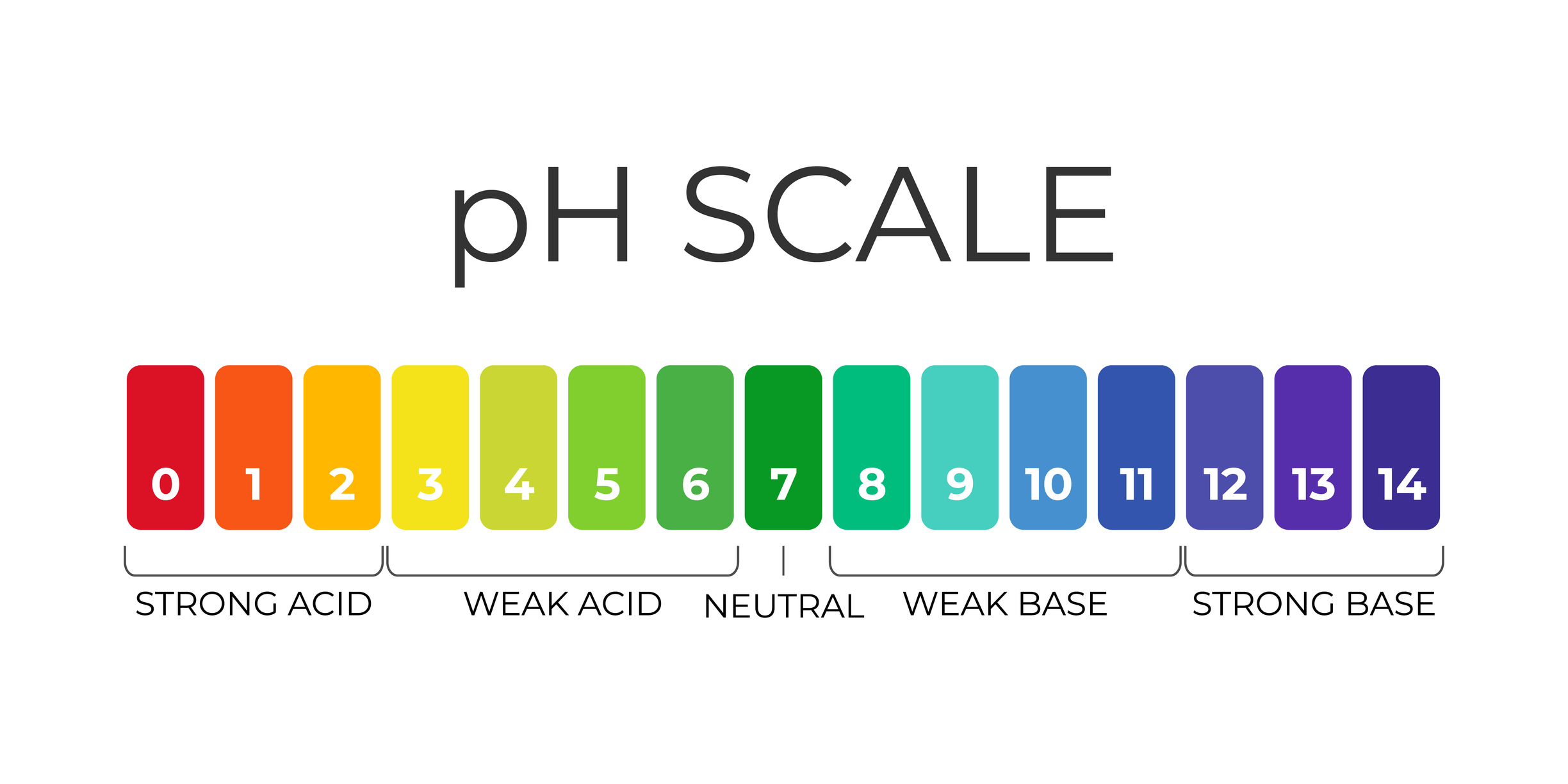 pH scale infographic chart