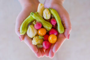 Two hands cupping colorful mix of miniature vegetables